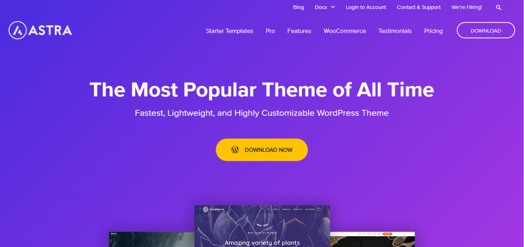 Fastest WordPress theme -Astra 