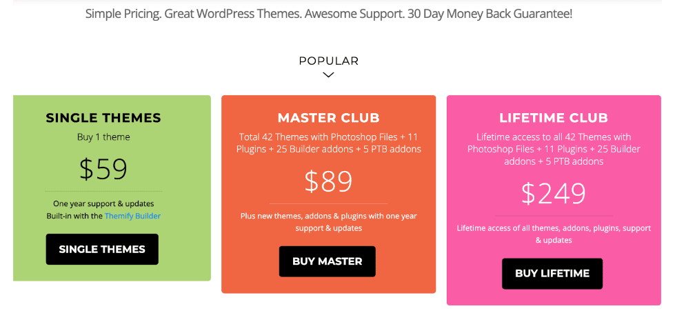 Pricing Themes 