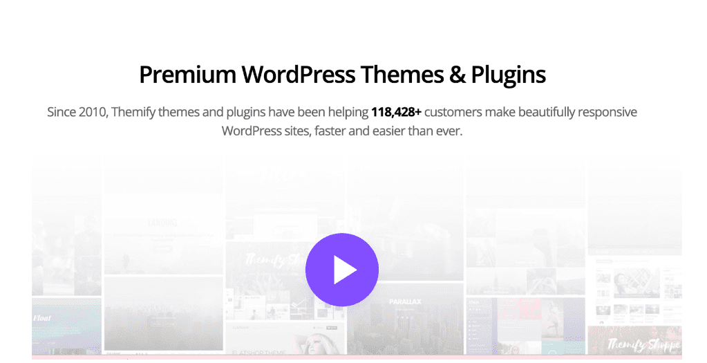 Wordpress themes and plugins